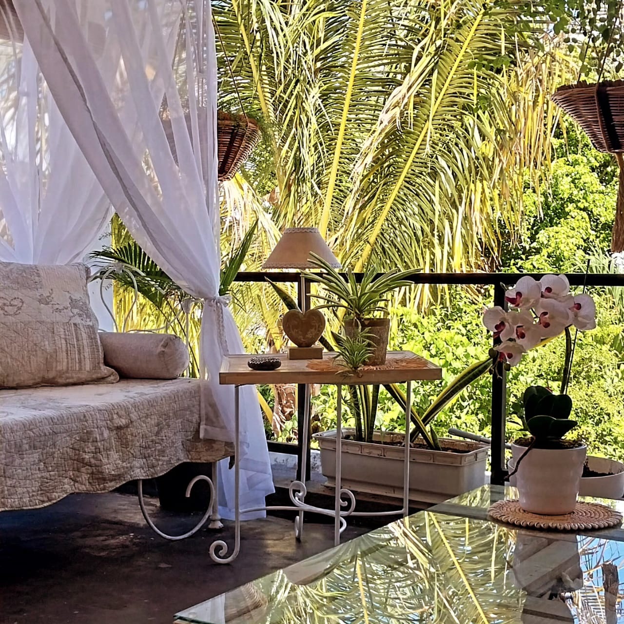 Le coin salon sous les voiles blancs, orchidées et palmiers