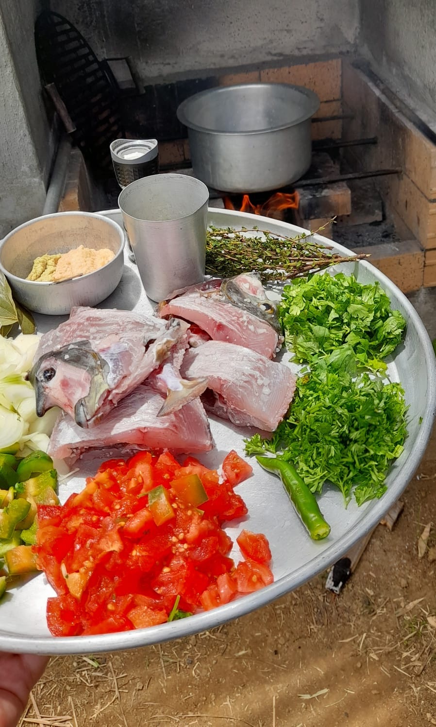 Le poisson et les légumes frais préparés devant le feu de bois