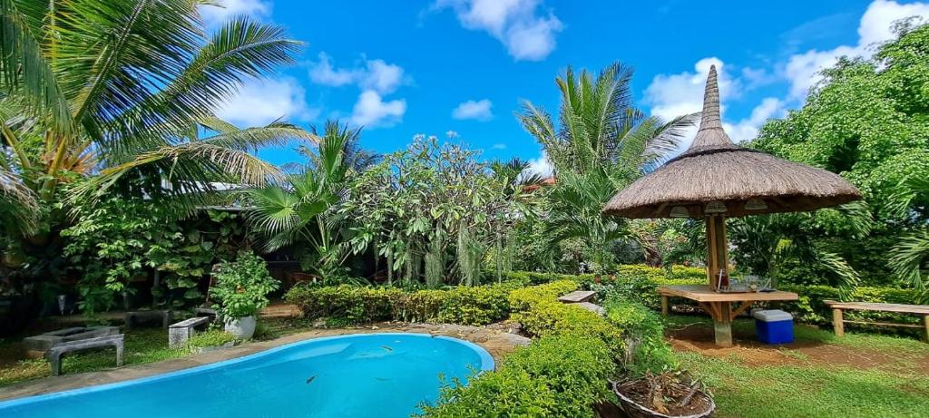 La piscine et le jardin tropical