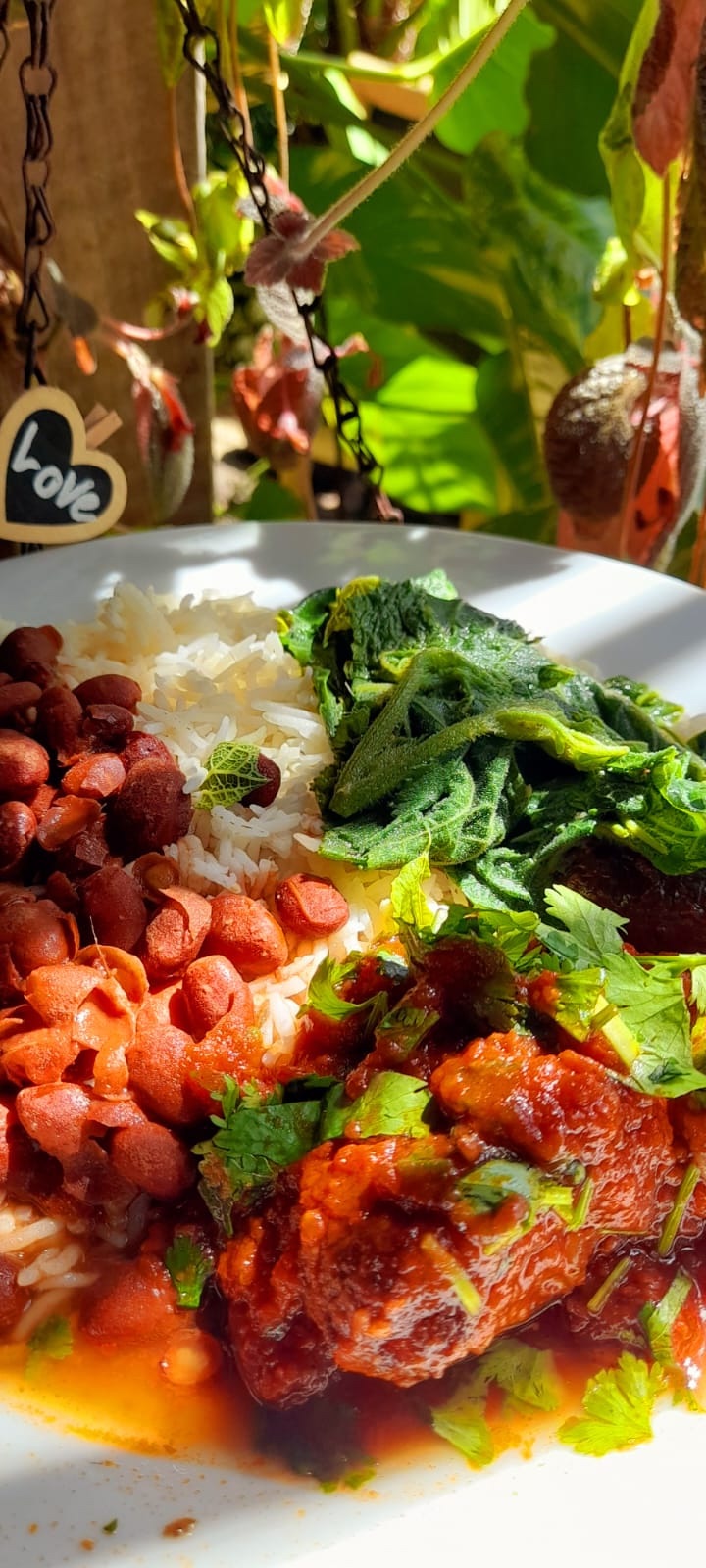 Une assiette de riz, haricots et cari servie au jardin